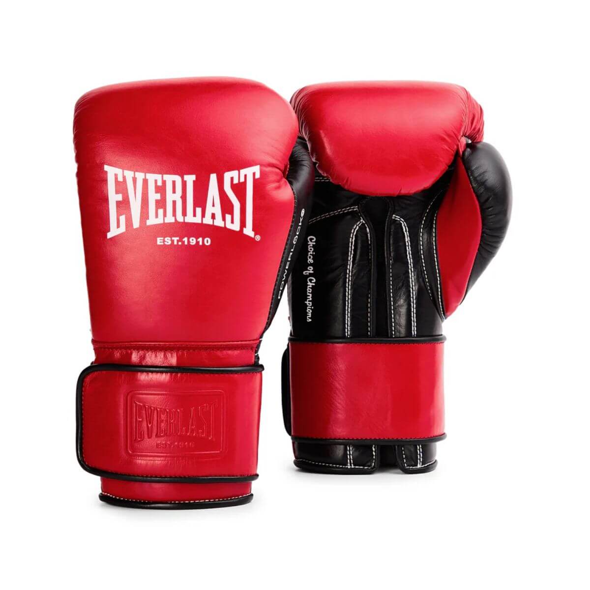 Everlast Powerlock OG Pro Training Gloves Hook & Loop – Sportswing.in