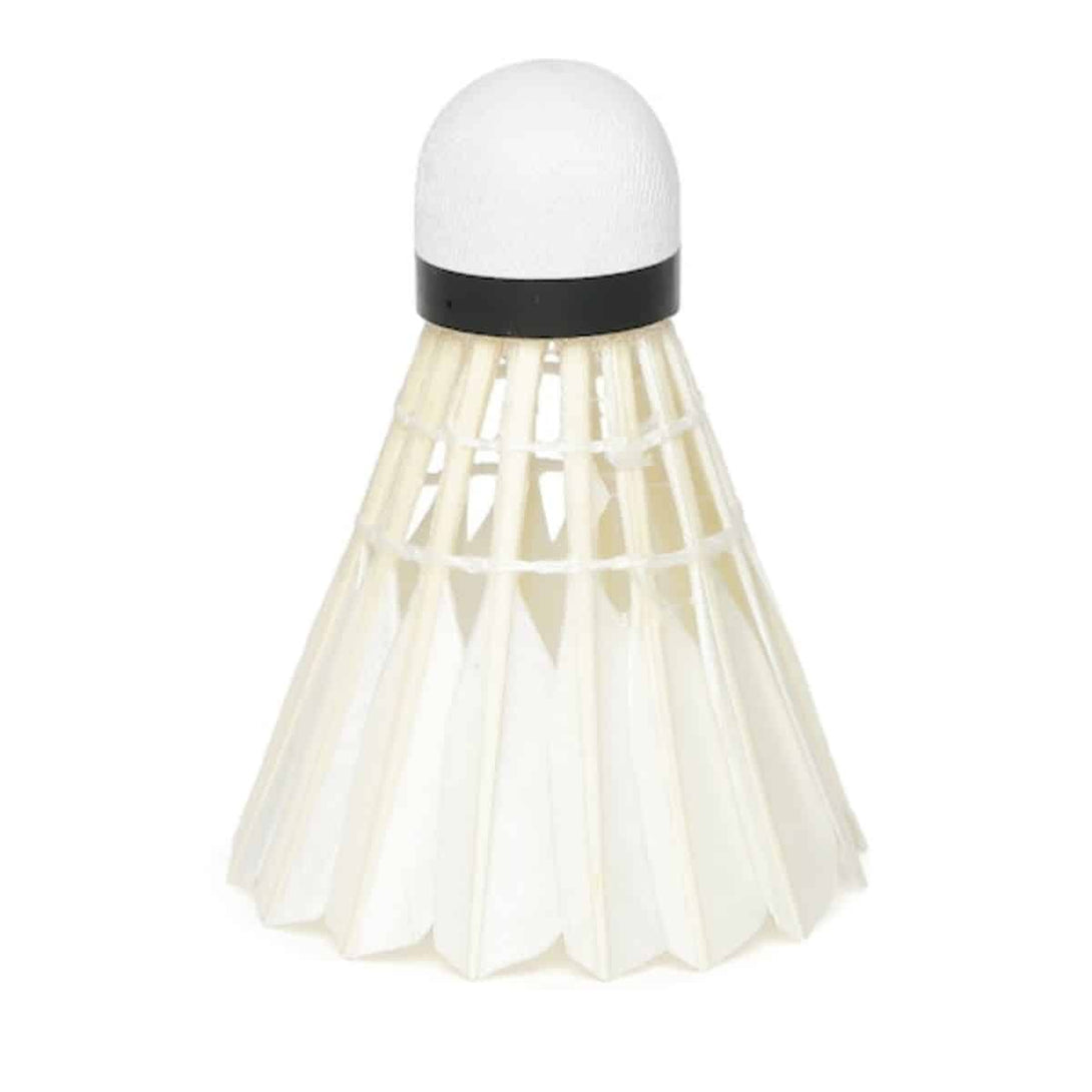 Ashaway A4 Feather Badminton Shuttlecock