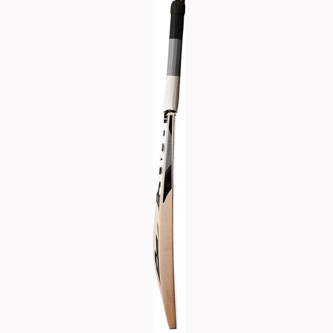 BAS Topper Kashmir Willow Cricket Bat-SH