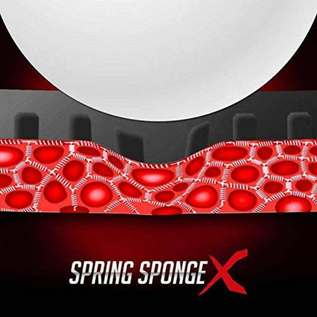 Butterfly DIGNICS 09c Table Tennis Rubber