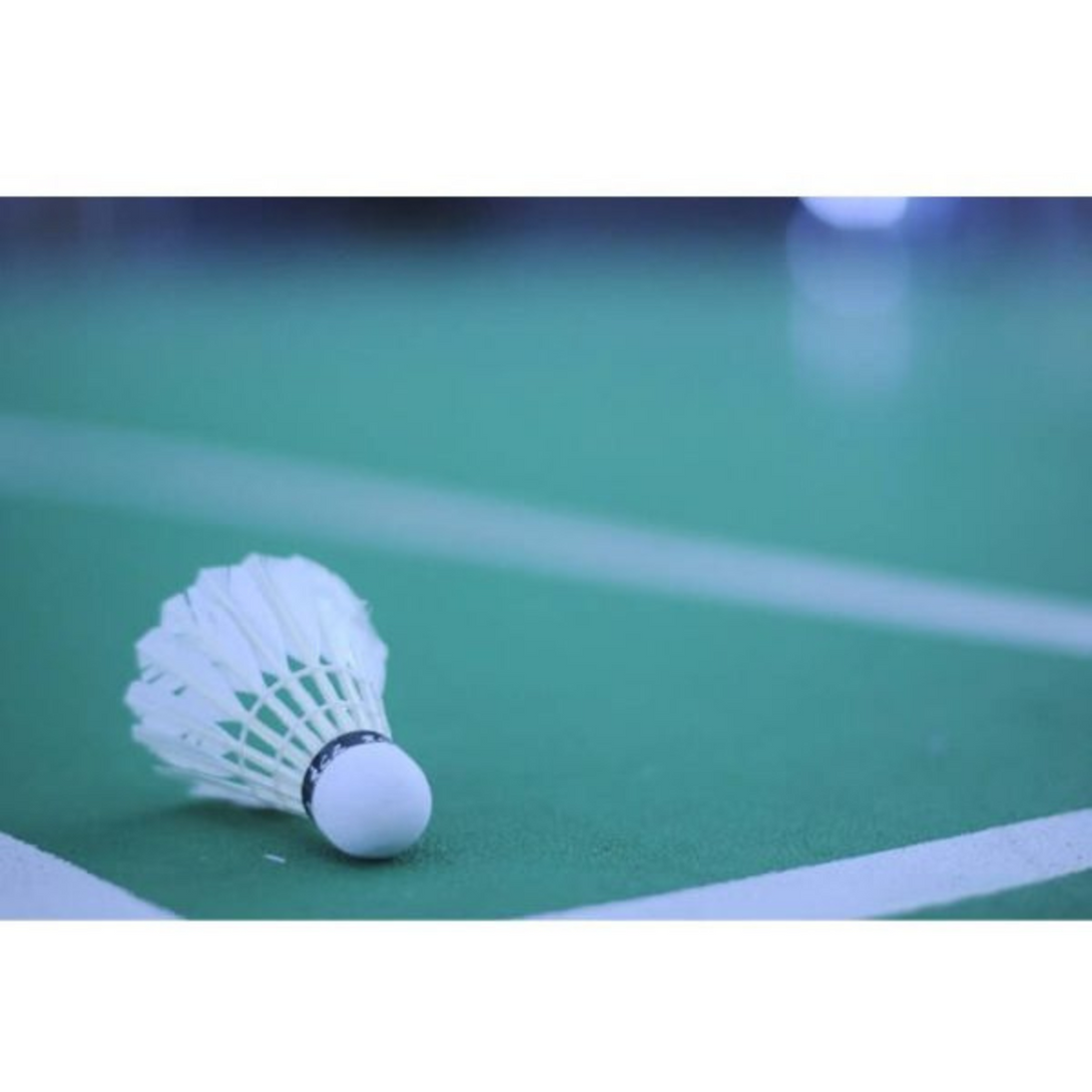 Cosco Platinum Shuttlecock (Pack Of 2)