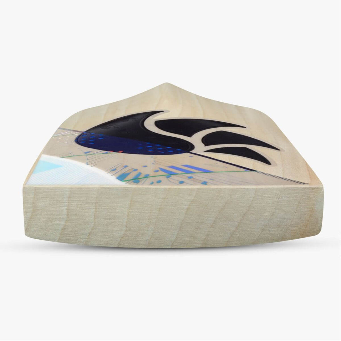 DSC Condor Flite English Willow Cricket Bat
