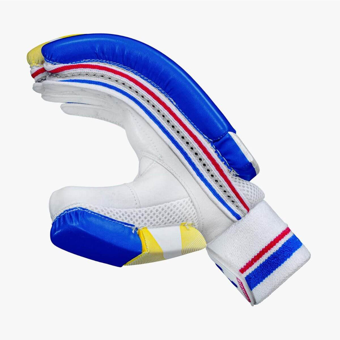 DSC Intense Rage Cricket Batting Gloves
