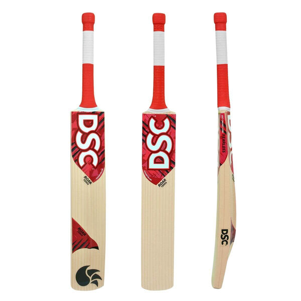 DSC Roar Terra Kashmir Willow Cricket Bat