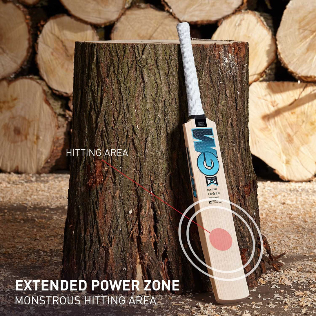 GM Diamond Signature + Cricket Bat-English Willow-SH