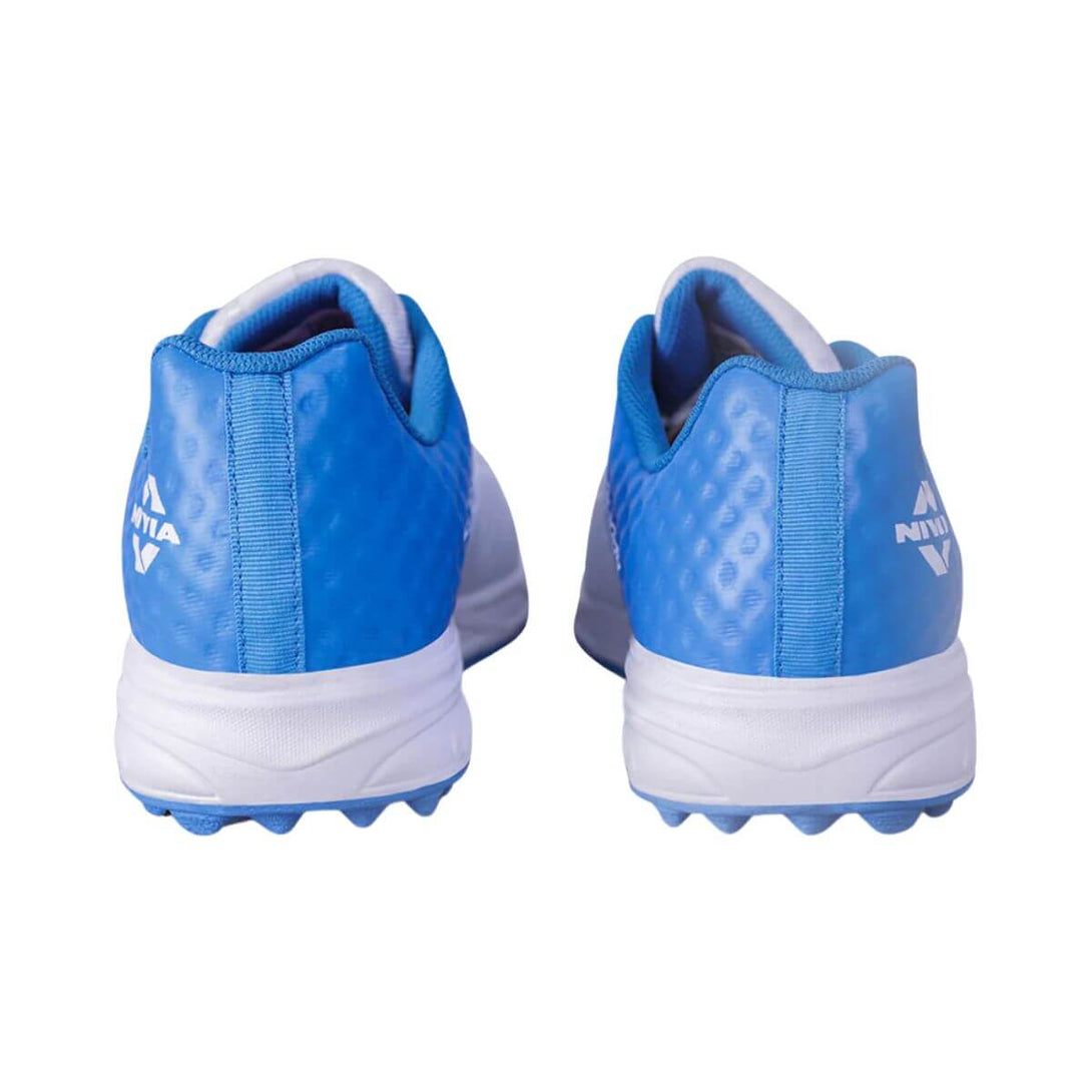 Color-Aster Blue
