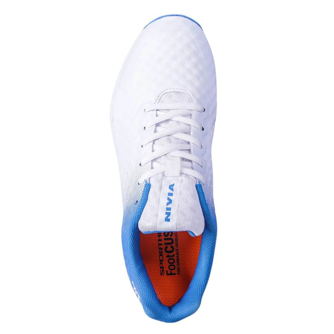 Color-Aster Blue