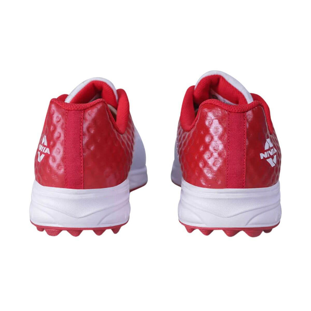 Color-Aster Red