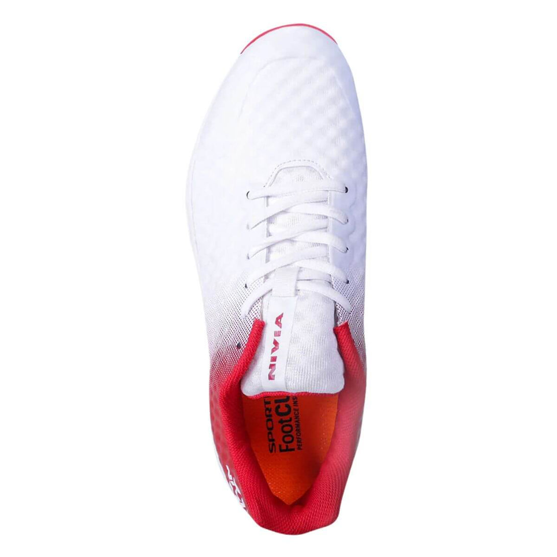 Color-Aster Red