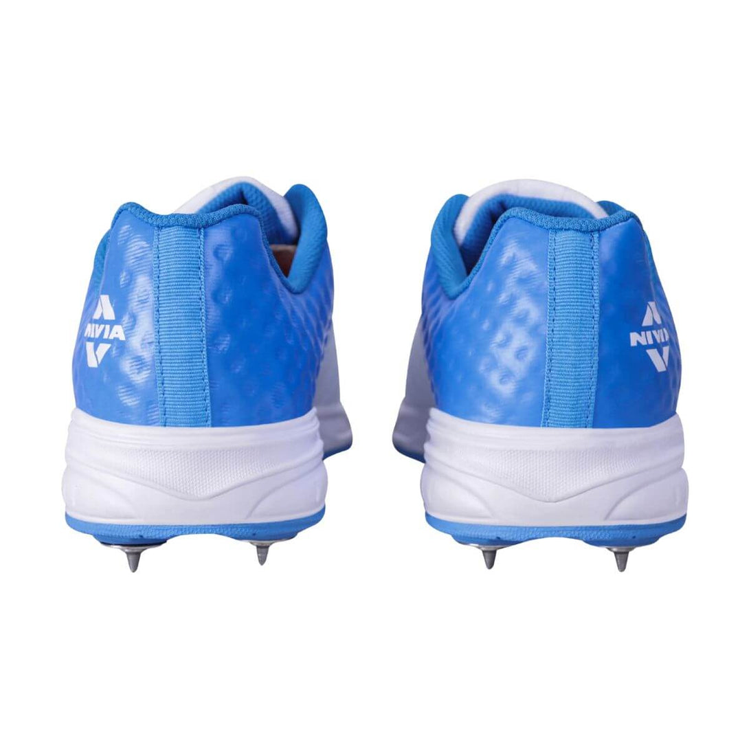 Color-Aster Blue