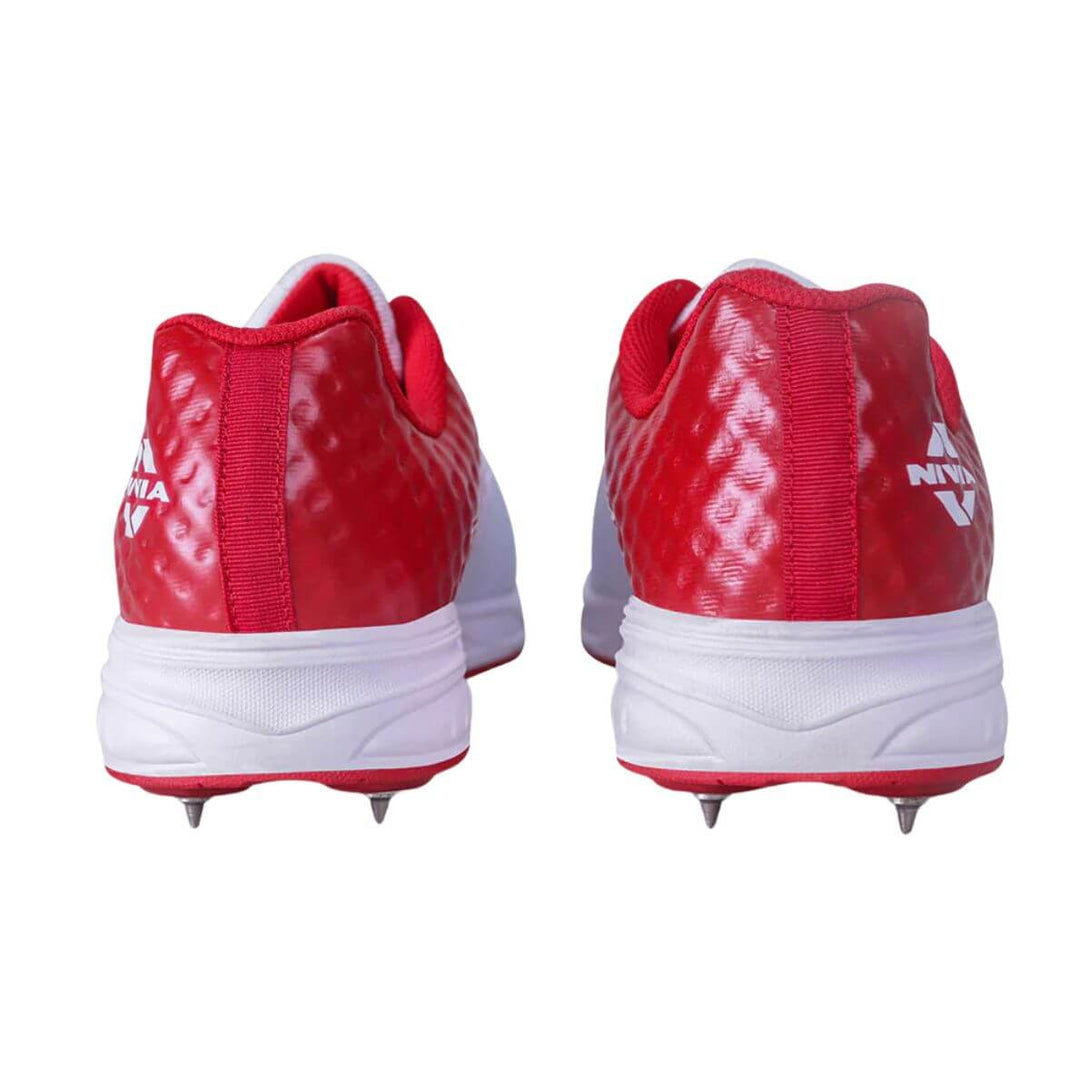 Color-Aster Red