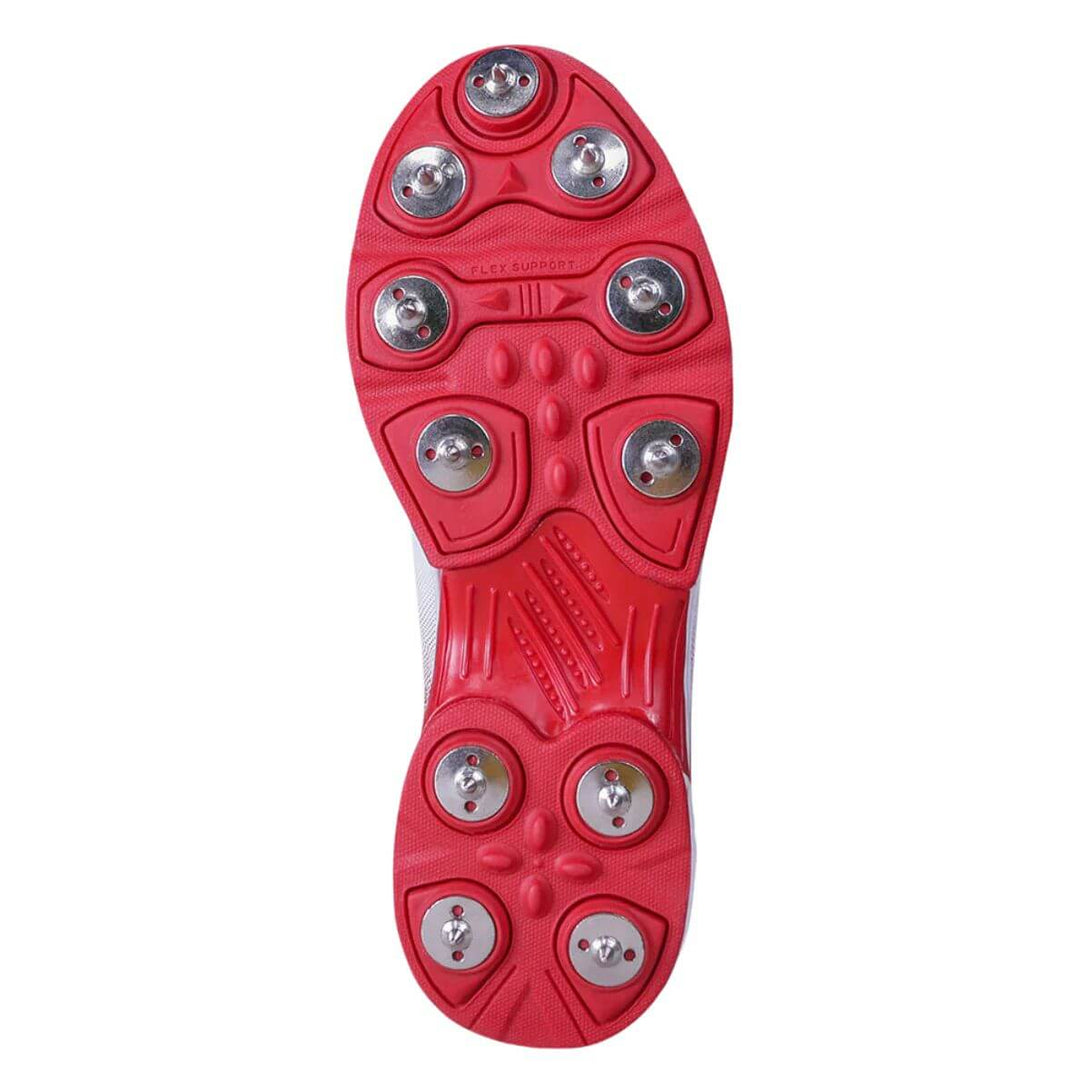 Color-Aster Red