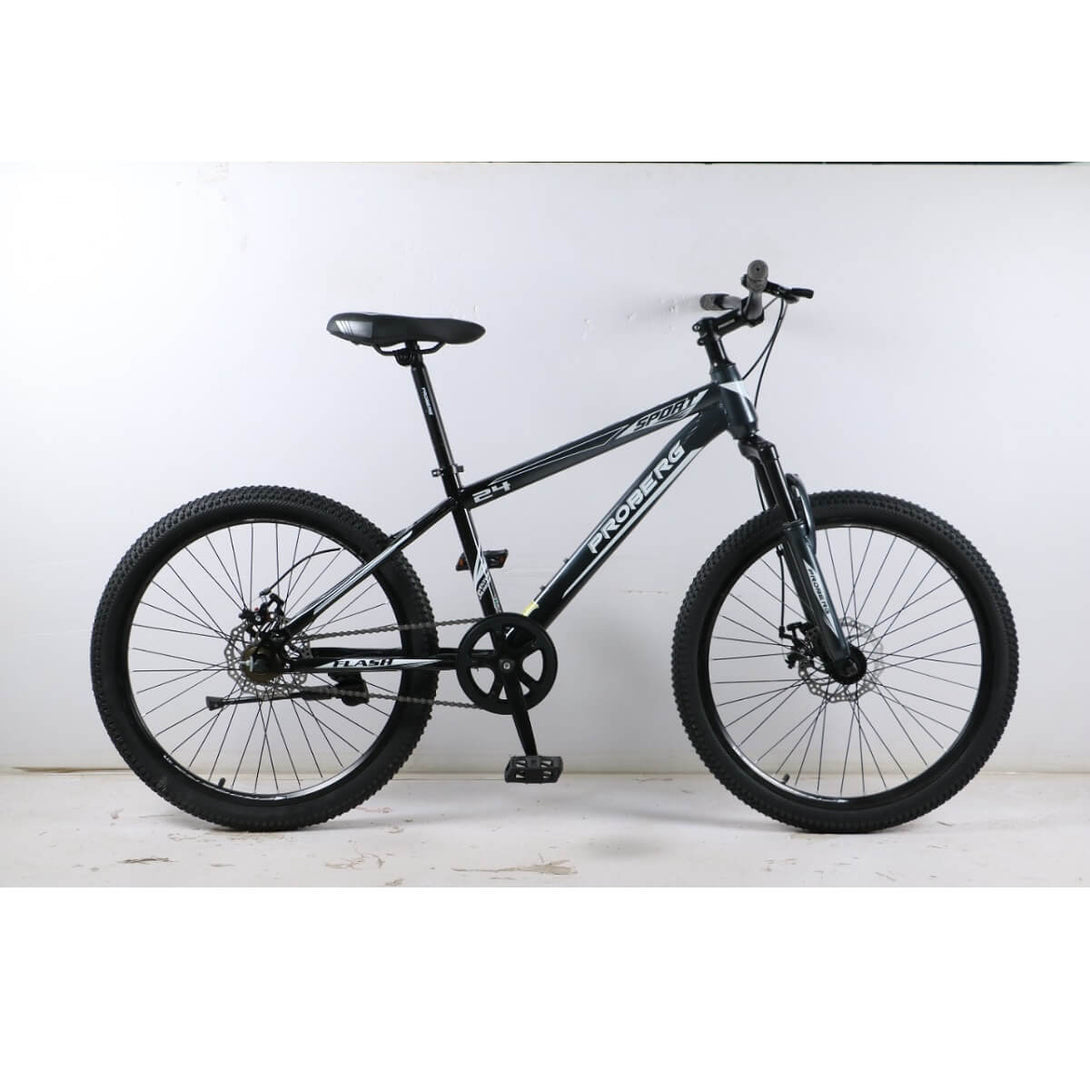 Proberg Flash24T Single Speed Cycle
