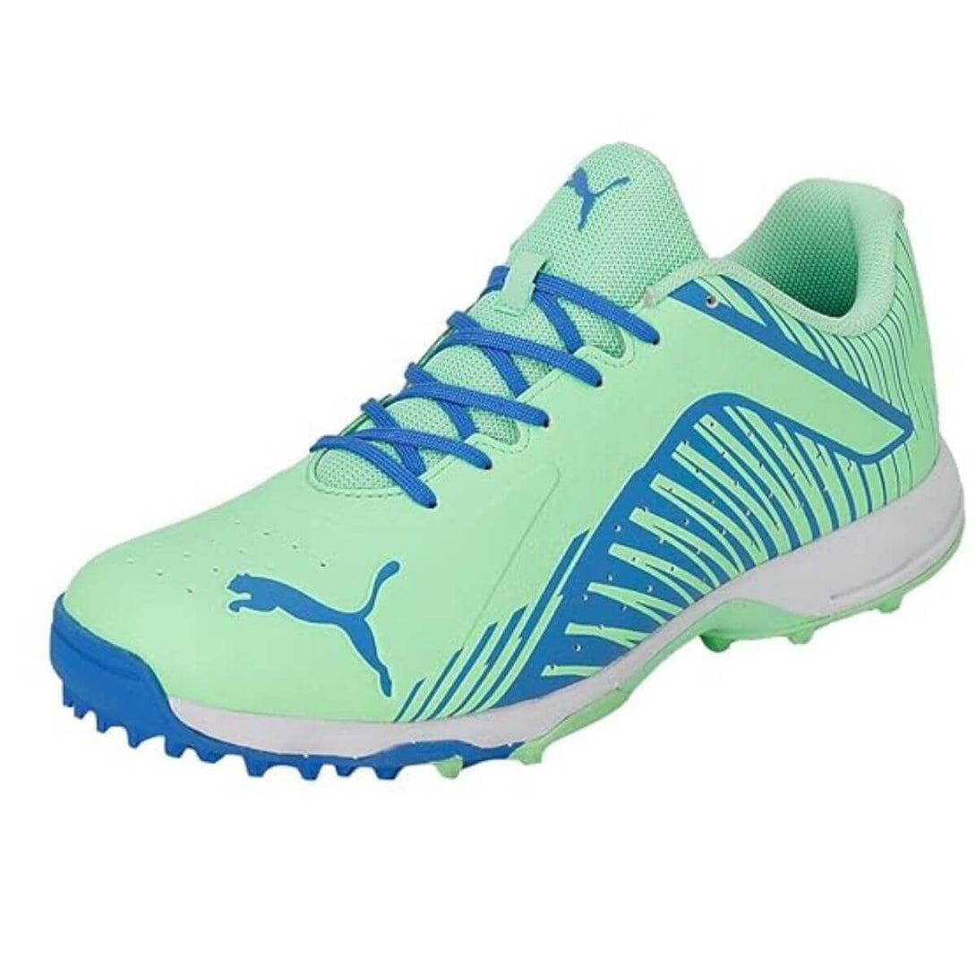 Puma 22 FH Rubber Cricket Shoes (Green)