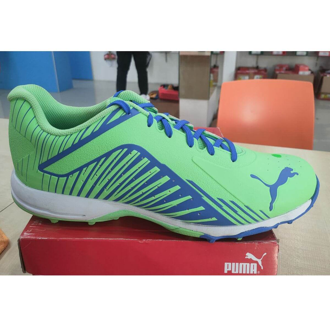 Puma 22 FH Rubber Cricket Shoes (Green)