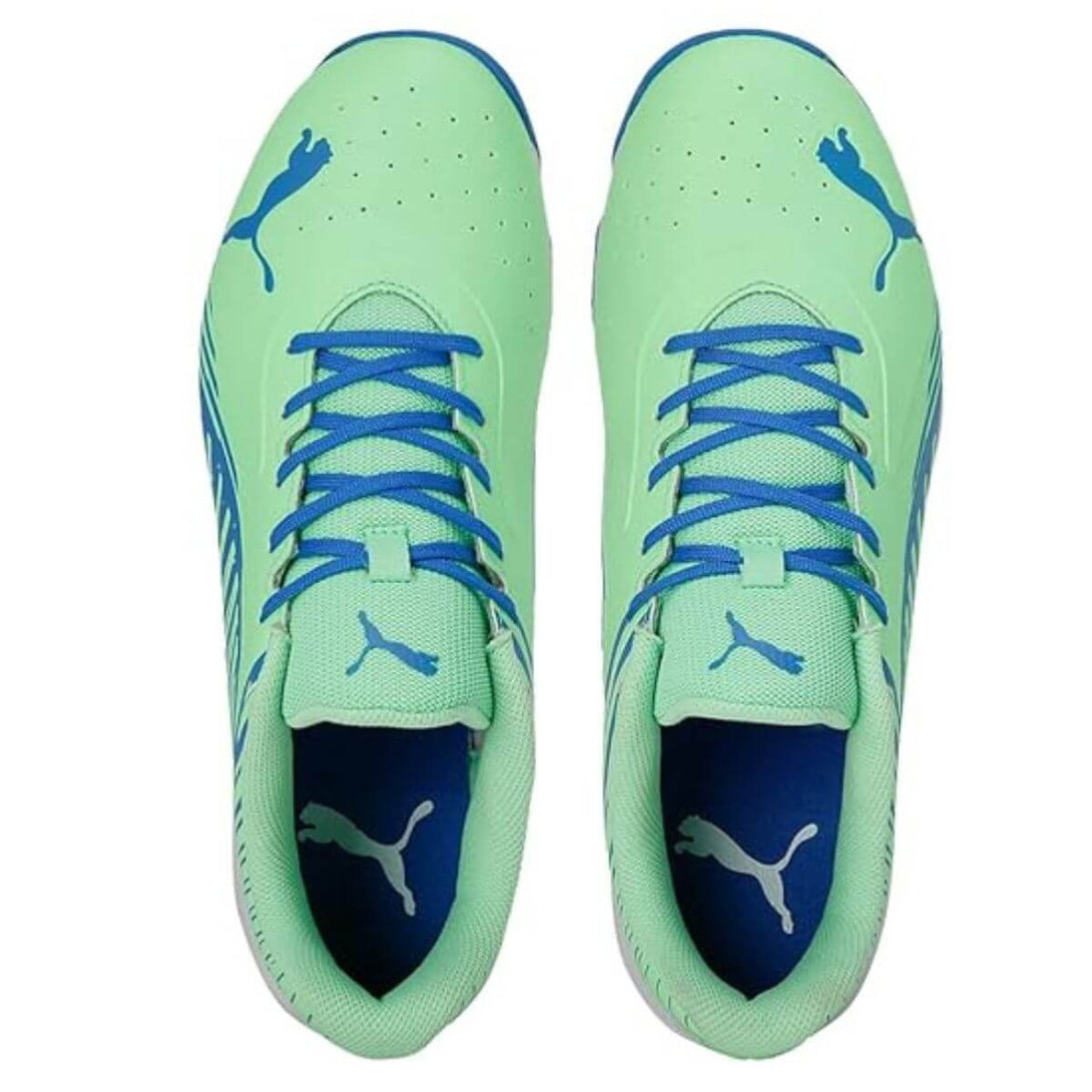 Puma 22 FH Rubber Cricket Shoes (Green)