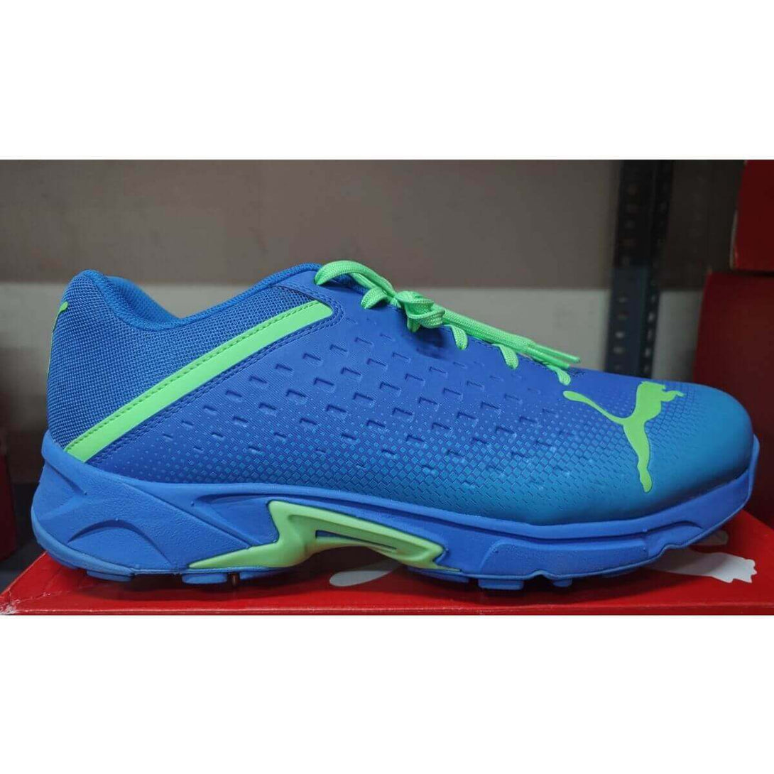 Puma Spike 22.2 Mens Cricket Shoes (Blue)