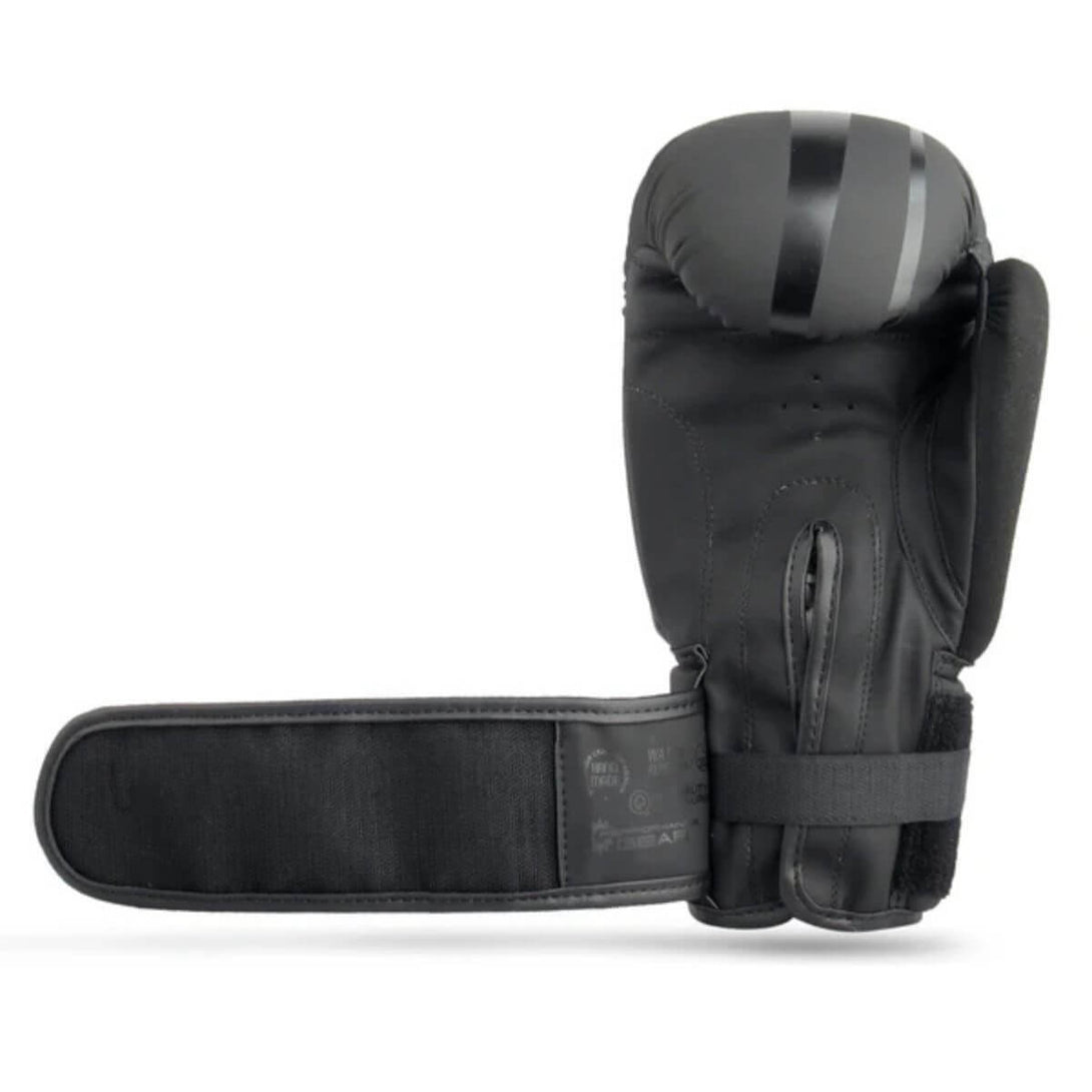 RXN R1 Boxing Gloves With Microfiber Thumb (BG-24)