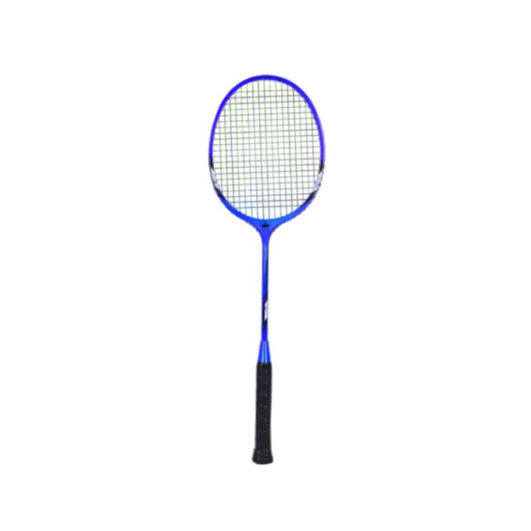 Ball Badminton Racquets – Sportswing.in