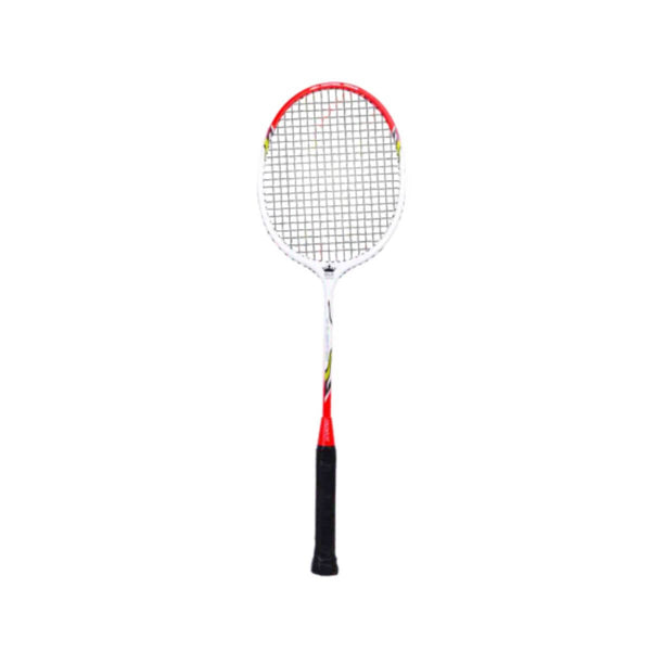 Ball Badminton Racquets – Sportswing.in