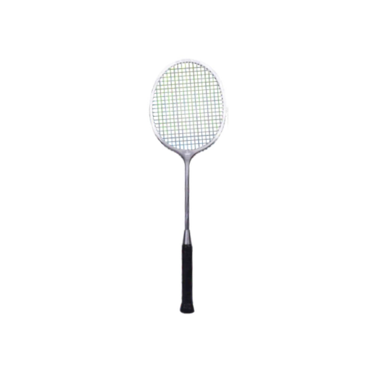 Raja Super Graphite Ball Badminton Racquet – Sportswing.in