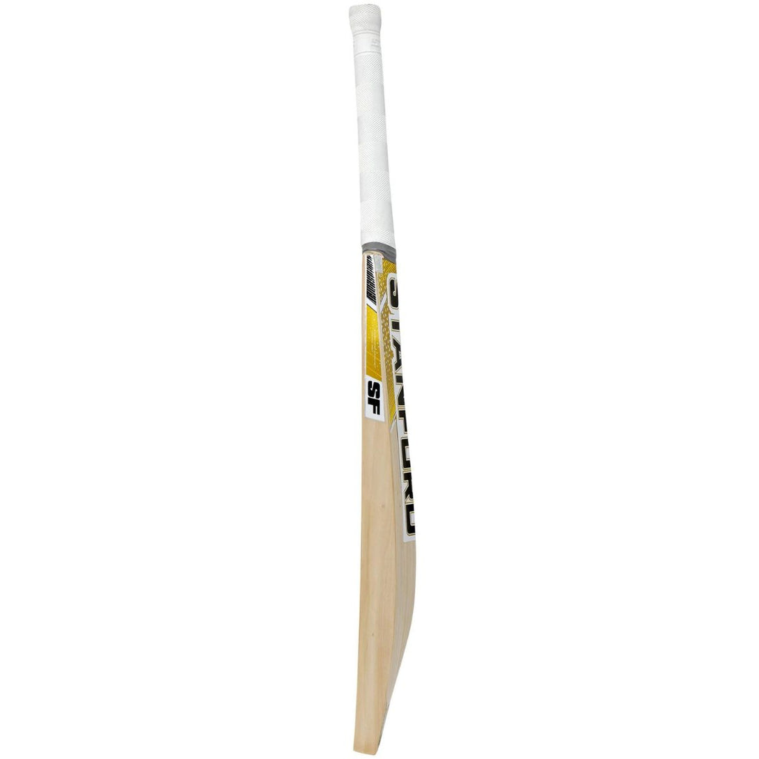 SF Gold Edition Kashmir Willow Cricket Bat-SH