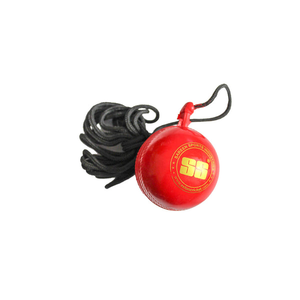SS Hanging Cricket Balls