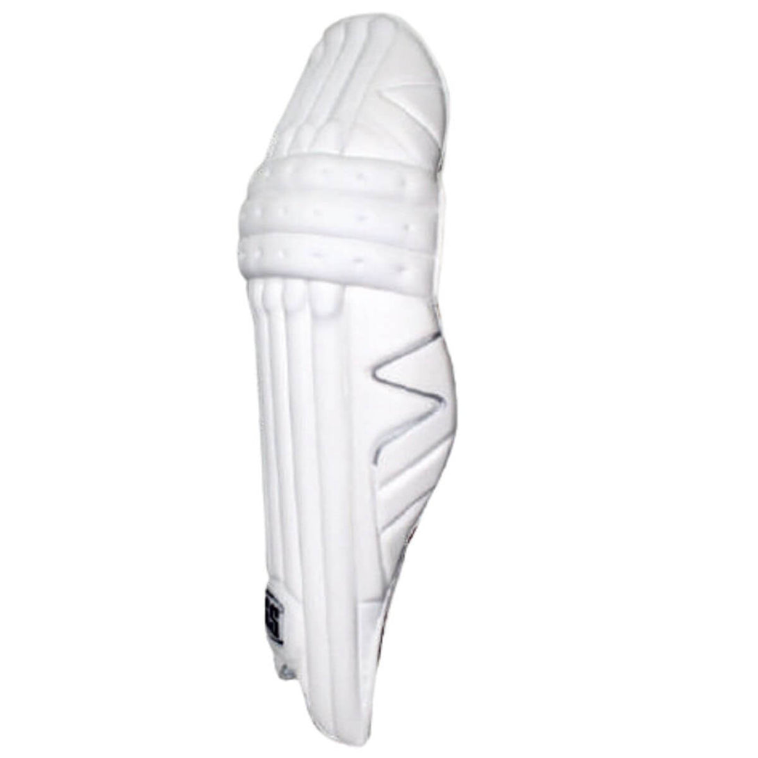 SS Matrix Cricket Batting Legguard