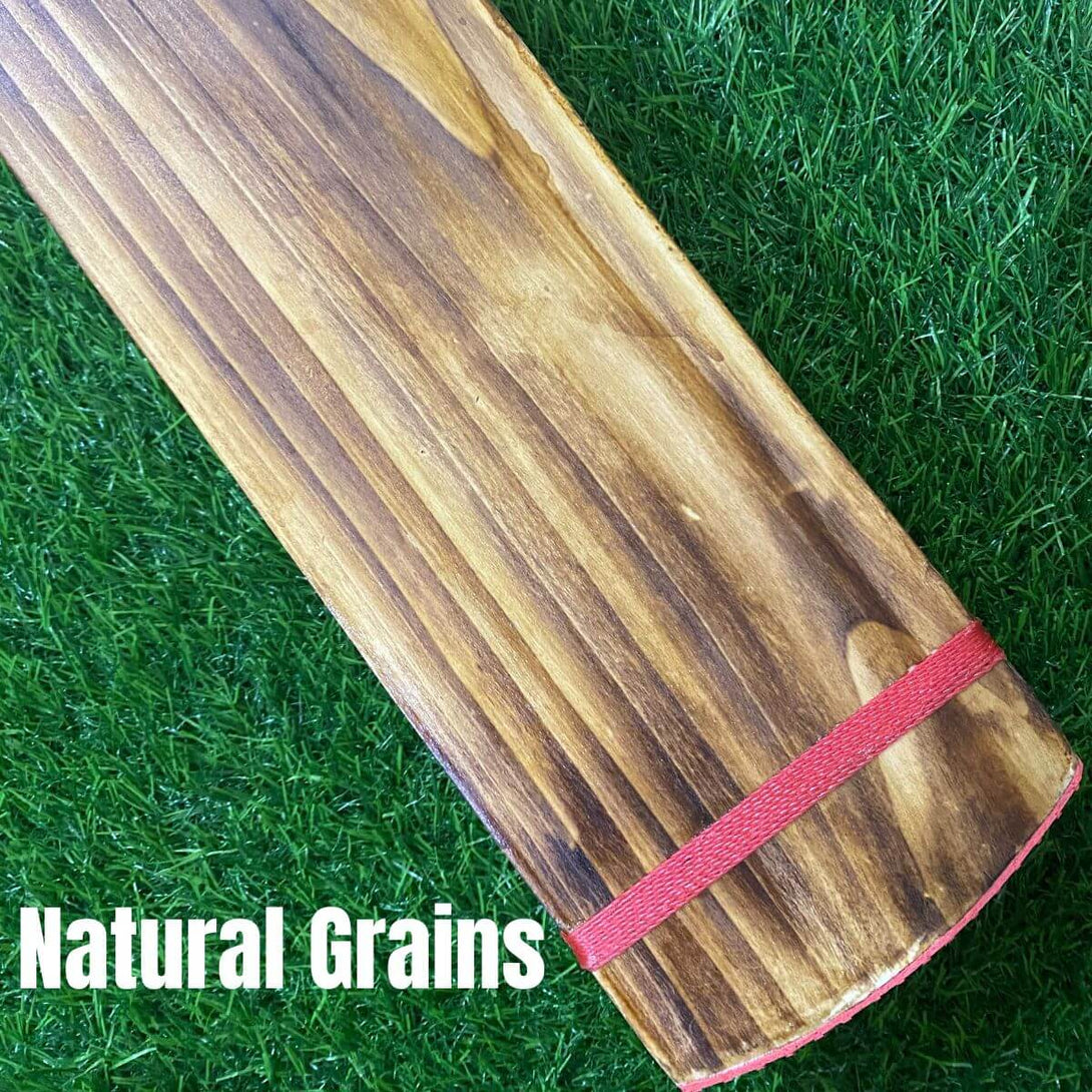 Sports Wing, Double Blade - Single Scoop - Two Holes - Burn Edition Hard Tennis Bat