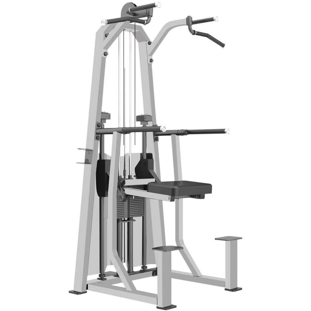 Xdegree XE 3009 Dip/Chin Assist – Sportswing.in