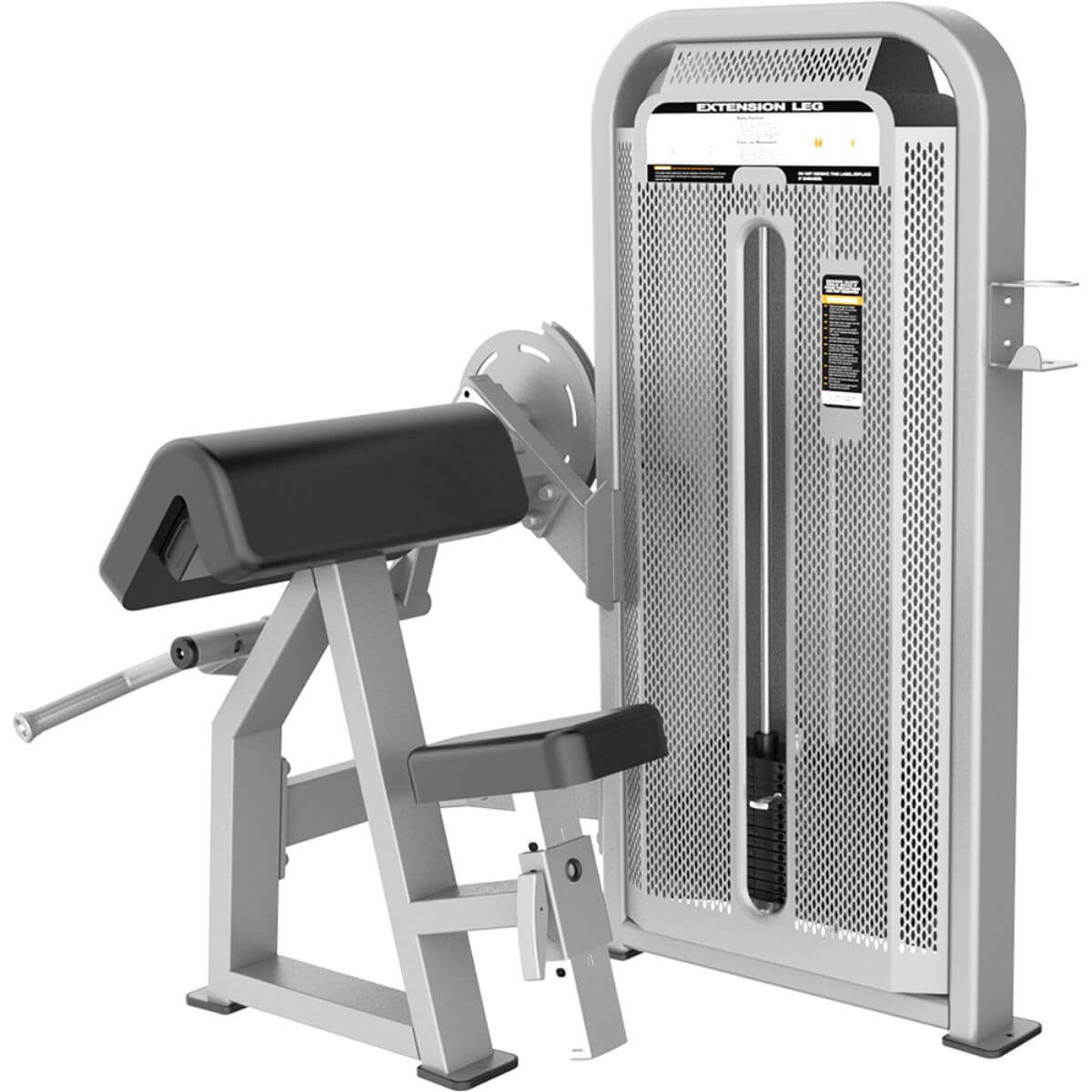 Xdegree XE 5030 Bicep Curl – Sportswing.in