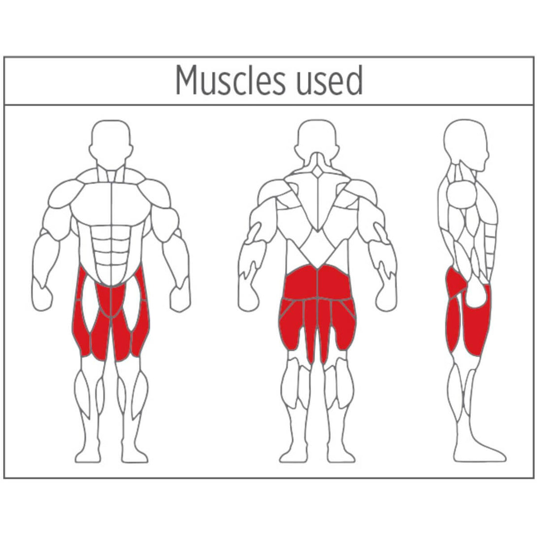 Xdegree XPC 2016 Hip Abduction/Adduction – Sportswing.in