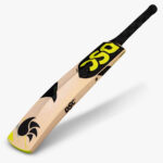 DSC Condor Cirrus Kashmir Willow Cricket Bat (4)