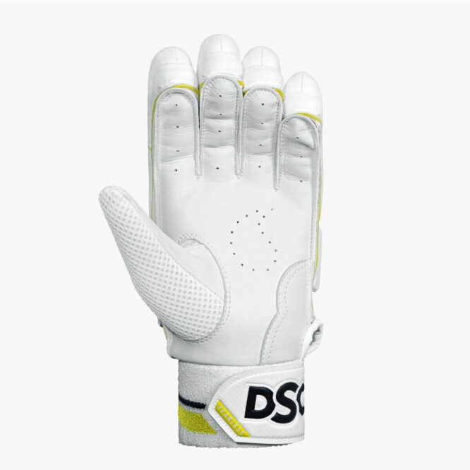 DSC Condor Glider Cricket Batting Gloves (1)