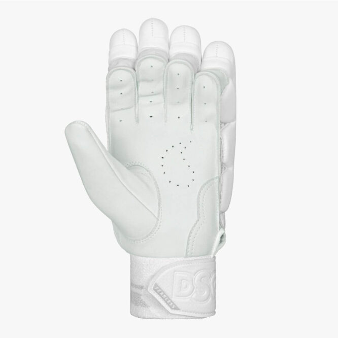 DSC Condor Pro Cricket Batting Gloves- (1)