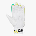 DSC Condor Rave Cricket Batting Gloves (2)
