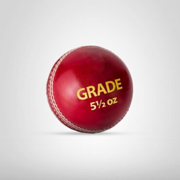 DSC Grade Leather Cricket Ball (6Balls)