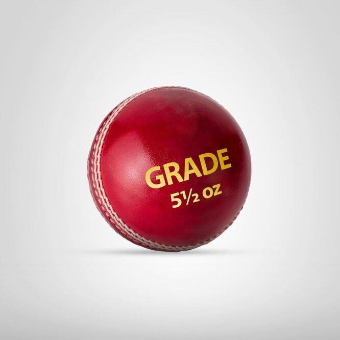 DSC Grade Leather Cricket Ball (6Balls)