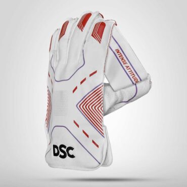 DSC Intense Attitude Cricket Wicket Keeping Gloves