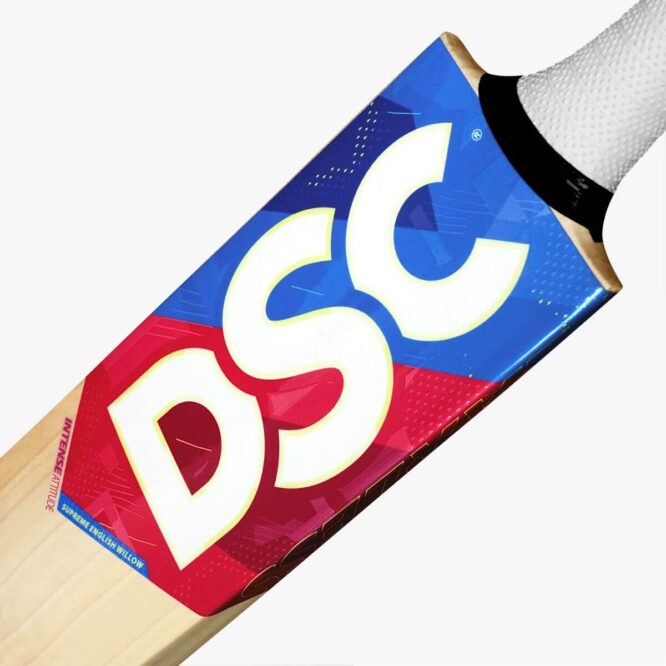 DSC Intense Attitude English Willow Cricket Bat p2