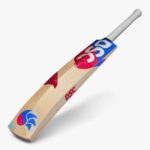 DSC Intense Passion English Willow Cricket Bat-SH (4)