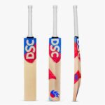 DSC Intense Pro English Willow Cricket Bat-SH (1)