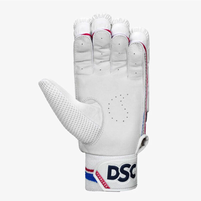 DSC Intense Valor Cricket Batting Gloves (1)