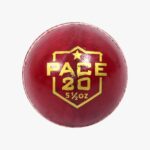 DSC Pace 20 Leather Cricket Ball (6Balls)