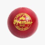 DSC Premier Leather Cricket Ball (6Balls)