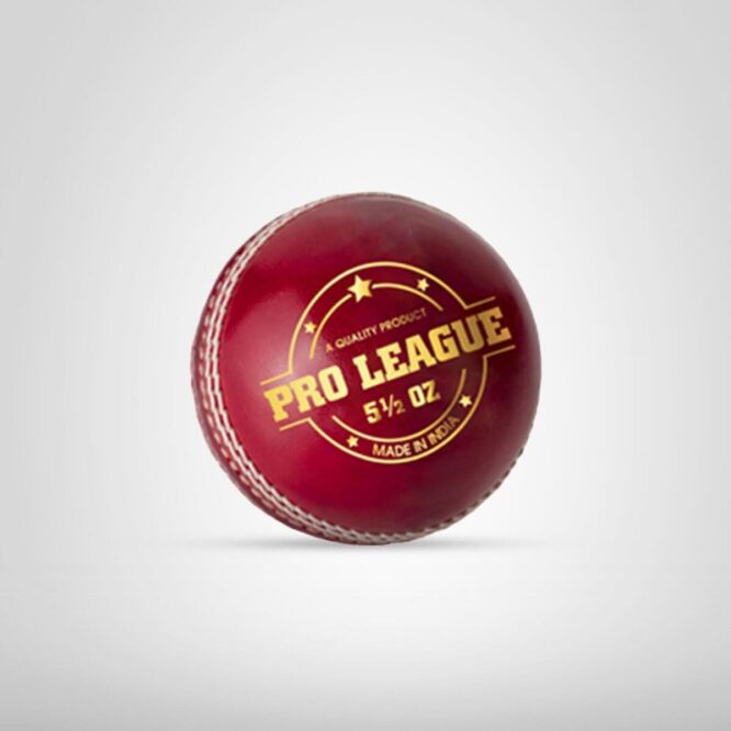 DSC Pro League Leather Cricket Ball (Red 6Balls)
