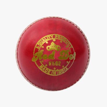 DSC Red Dot Leather Cricket Ball (6Balls)