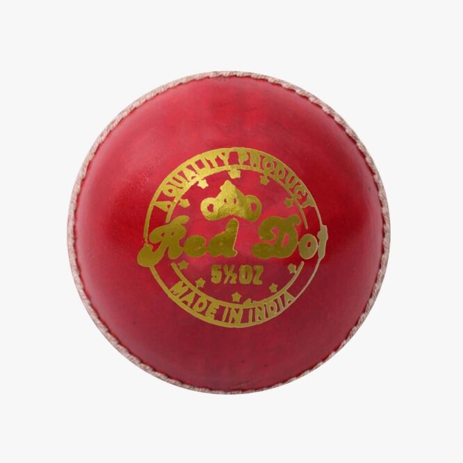 DSC Red Dot Leather Cricket Ball (6Balls)