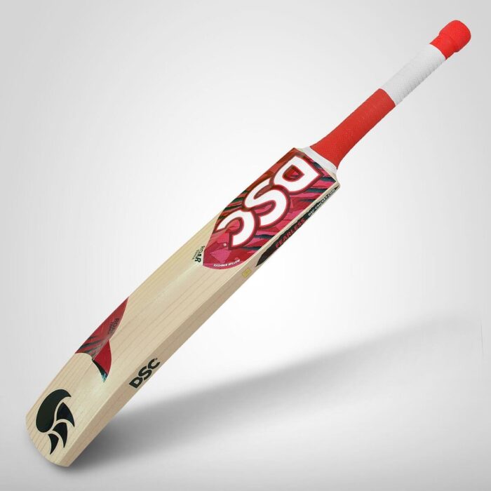 DSC Roar Hunter Kashmir Willow Cricket Bat