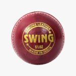 DSC Swing Leather Cricket Ball (6Balls)